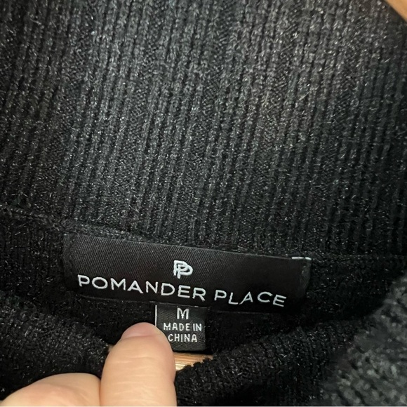 Pomander Place Black Turtleneck Dress - Picture 8 of 10
